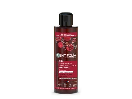 shampooing demelant couleur fixateur 2en1