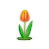 Drevený tulipán na vyfarbenie | Darček pre mamičku