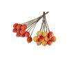 Rose Hip 13 mm, 10 pcs