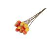 Rose Hip 13 mm, 10 pcs