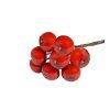 Little Apple 29 mm, 10 pcs