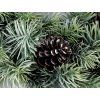 Künstlicher Weihnachtskranz mit Zapfen Ø 30 cm