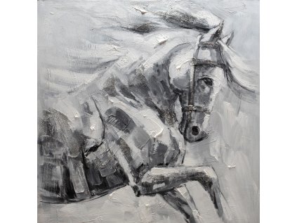 OBRAZ_W636_100X100_1-W