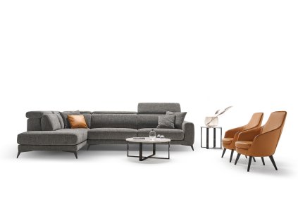 SEDACIA_SUPRAVA_NEVERS_ROSINI (3)