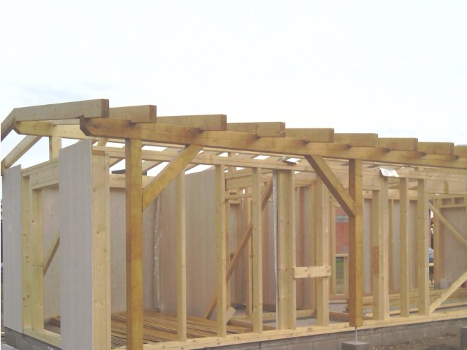 Stavební fošna 60x100x5000 mm