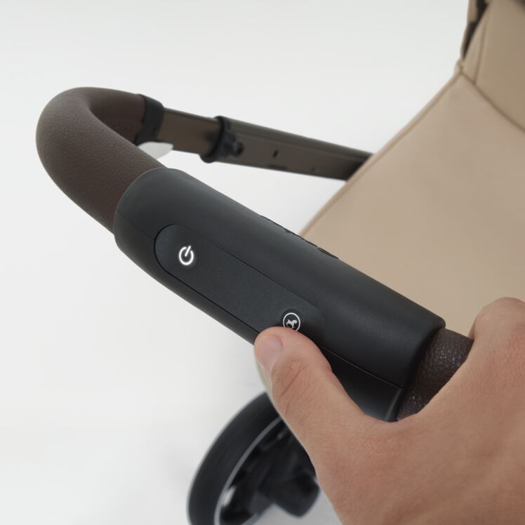 cyb_25_int_deta_e-gazelles_tpe_albe_buttons_model_fa_19720527d9003e70