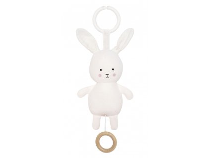 n0136 musical bunny