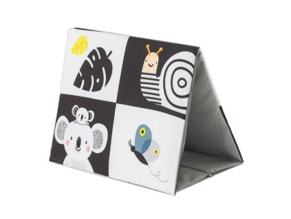 12905TAF uncompressed