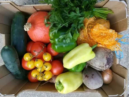 Farmársky automat na debničky