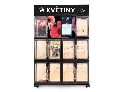 FLORAKING 10 prima černý ruzgerbery