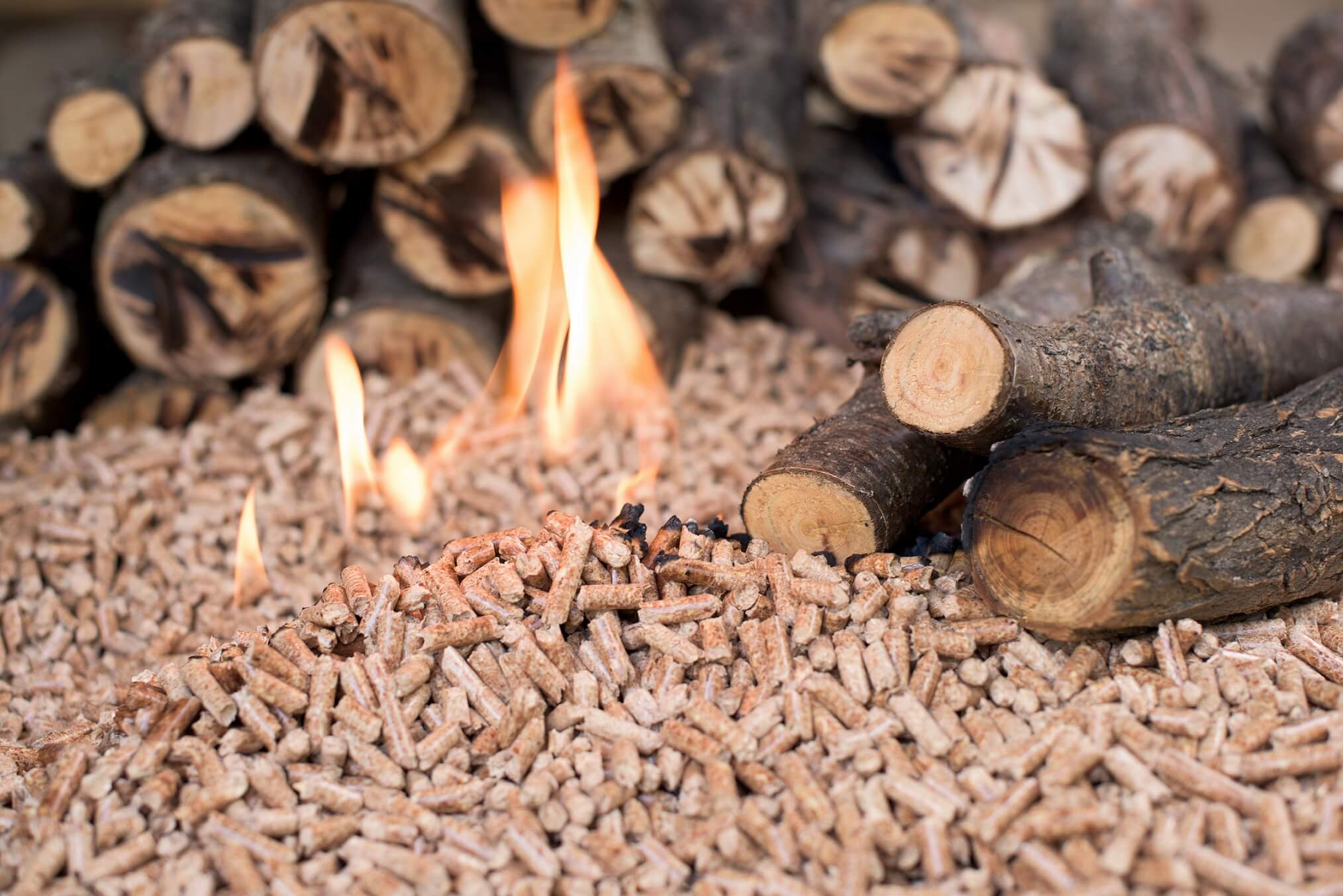 Topení dřevem versus peletami - jaké jsou rozdíly a co je lepší?