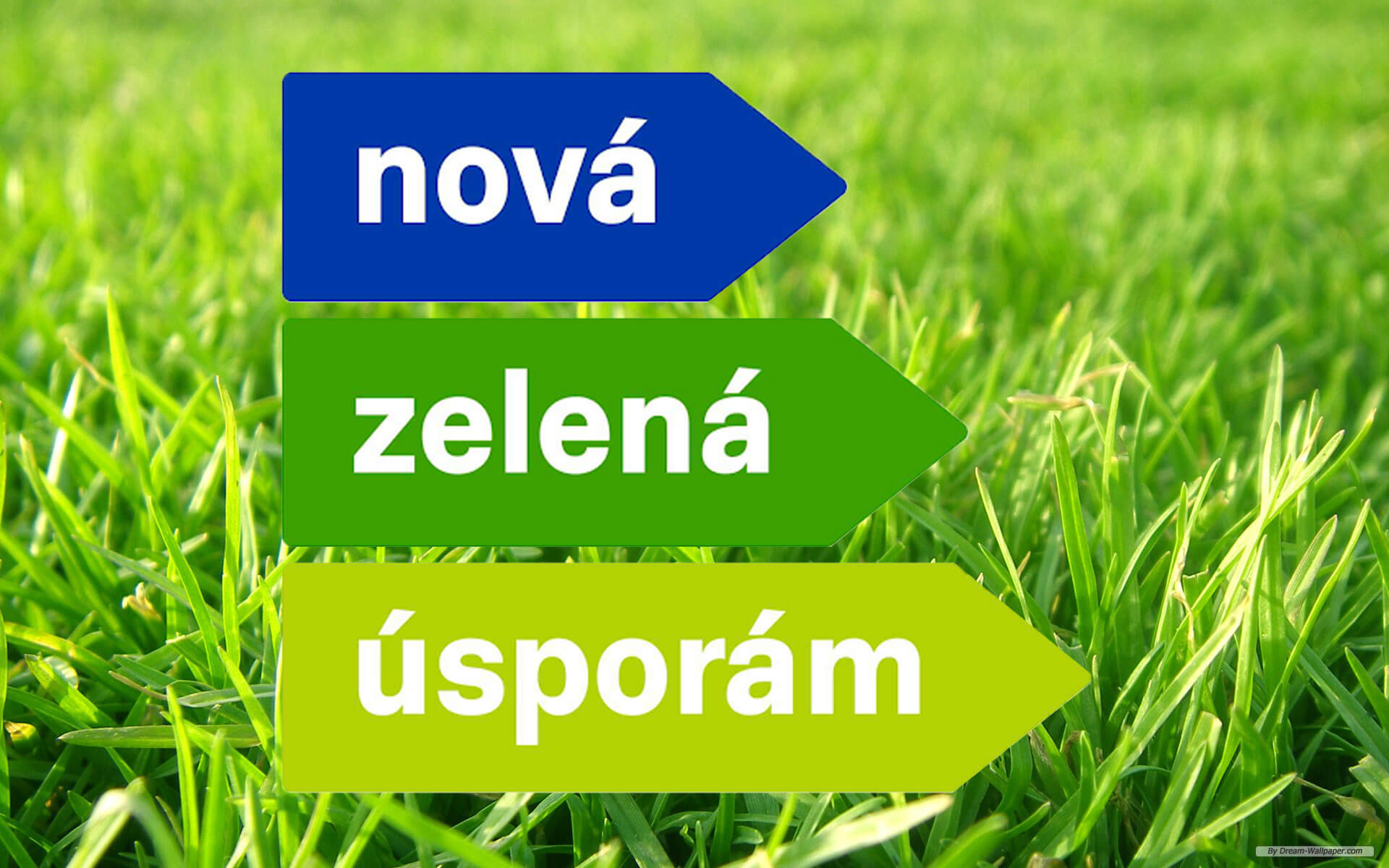 nova-zelena