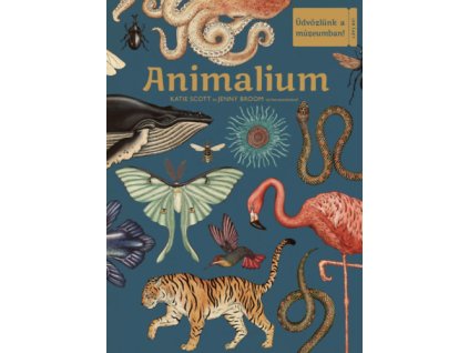 Animalium - Üdvözlünk a múzeumban!