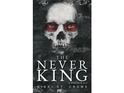 The Never King