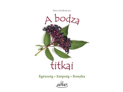 A bodza titkai
