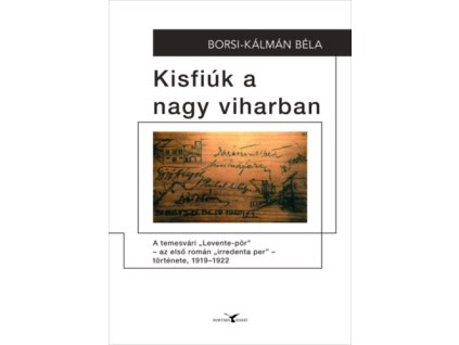 Kisfiúk a nagy viharban