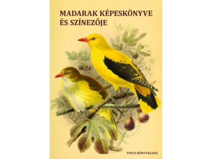 Madarak képeskönyve és színezője