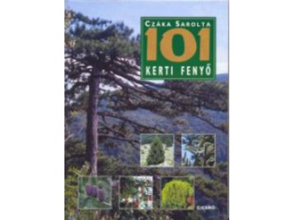 101 kerti fenyő