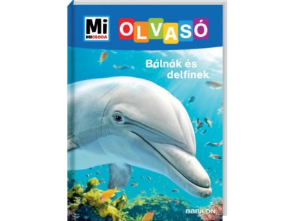 Bálnák és delfinek