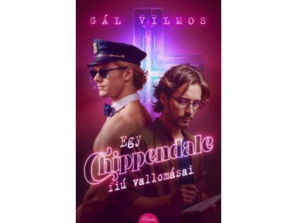 Egy Chippendale-fiú vallomásai