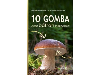 10 gomba amit bátran leszedhet!