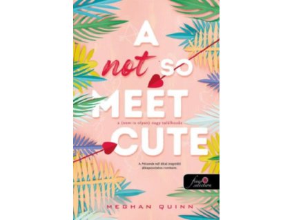 A Not So Meet Cute - A (nem is olyan) nagy találkozás