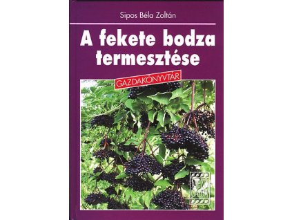 A fekete bodza termesztése