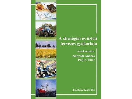 A stratégiai és üzleti tervezés gyakorlata