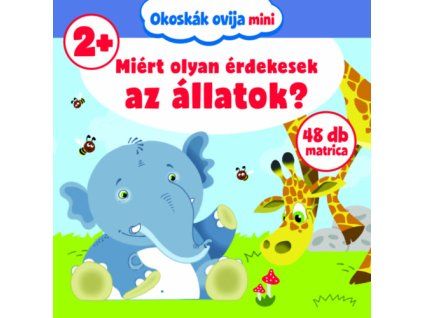 ID22 341691