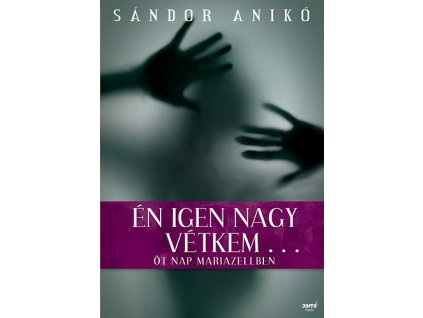 Én igen nagy vétkem...