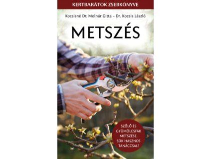 ID22 353196
