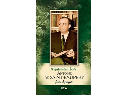 A katedrális kövei