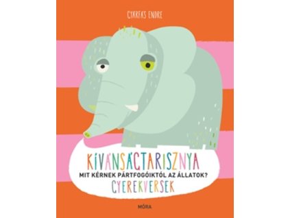 Kívánságtarisznya