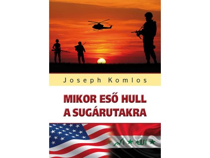 Mikor eső hull a sugárutakra
