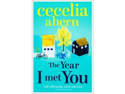 The Year I Met You