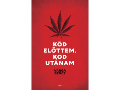 Köd előttem, köd utánam