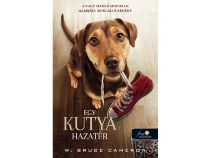 Egy kutya hazatér - filmes borító