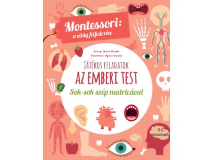 Játékos feladatok - Az emberi test