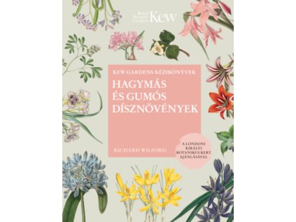 Hagymás és gumós dísznövények