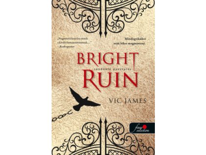 Bright Ruin - Tündöklő pusztulás ( Sötét képességek  3. )