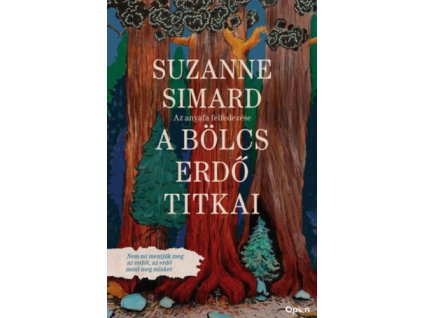 A bölcs erdő titkai