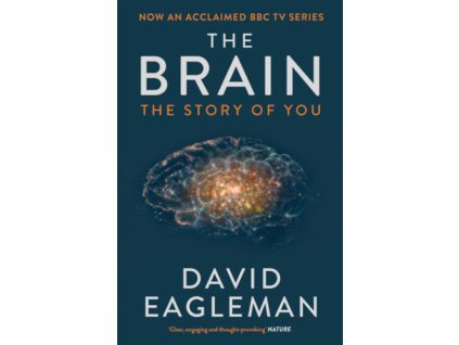 The Brain