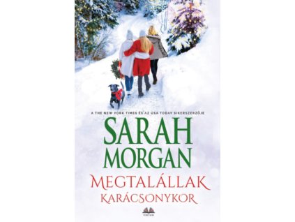 Megtalállak karácsonykor