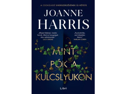 Mint pók a kulcslyukon