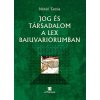 Jog és társadalom a Lex Baiuvariorumban