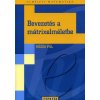 Bevezetés a mátrixelméletbe