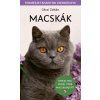 Macskák