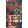 Milyen állatnyom ez?