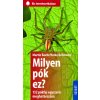Milyen pók ez?
