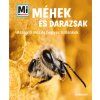 Méhek és darazsak